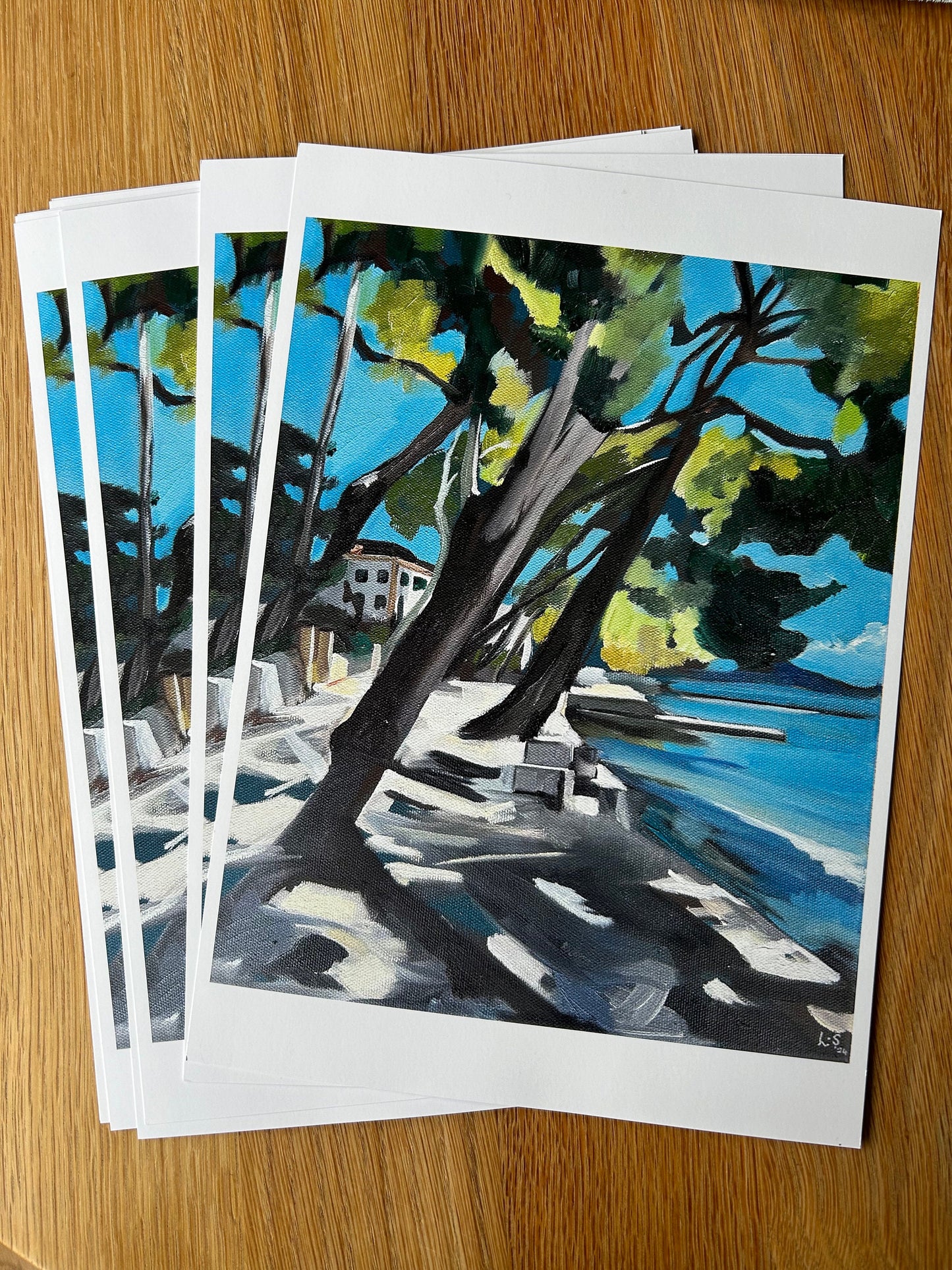 Print - Mediterranean Pine Walk, Puerto Pollensa, Mallorca