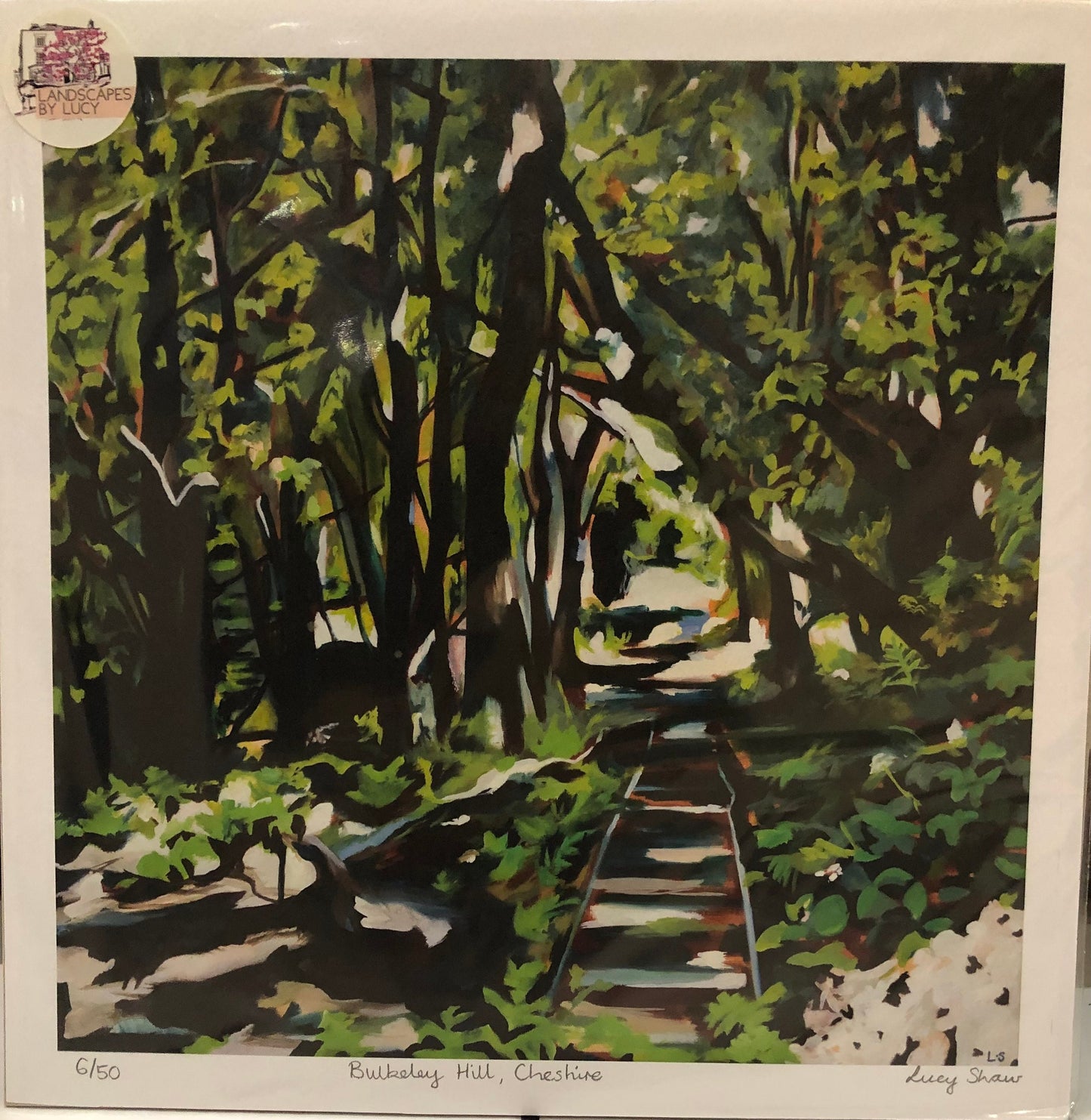 Print - Woodland, Bulkeley Hill, Cheshire