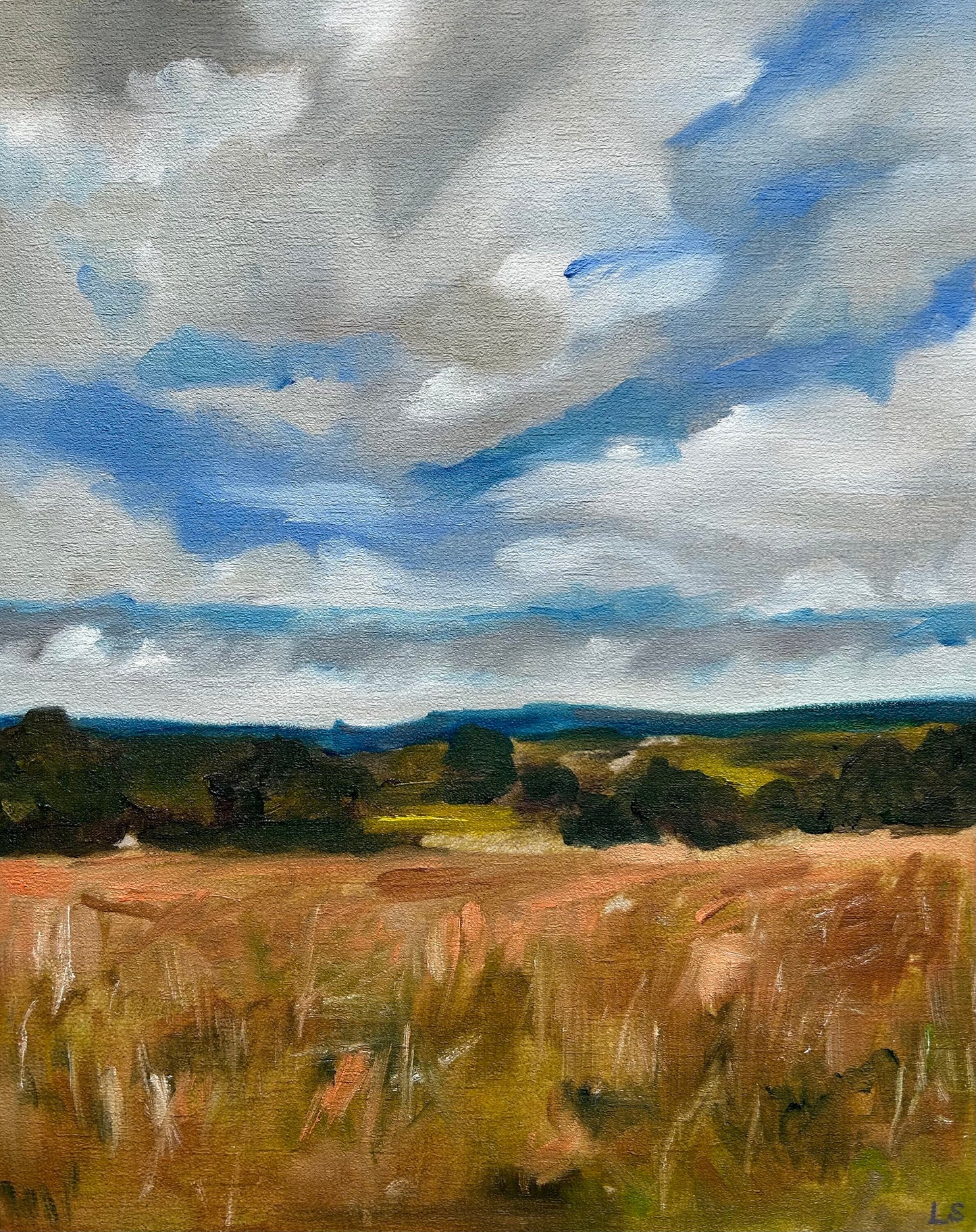 Print - Sandstone Ridge, Cheshire