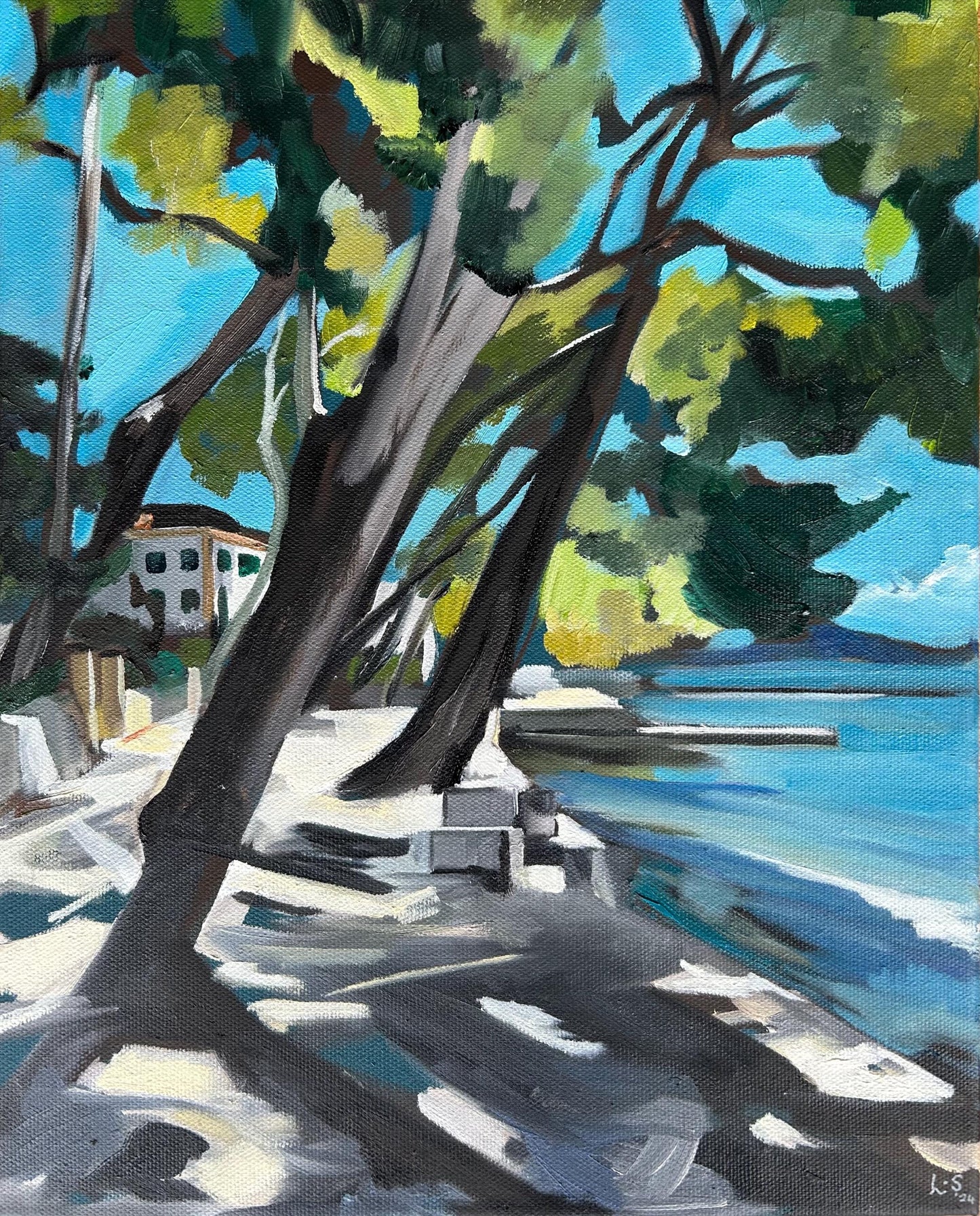 Print - Mediterranean Pine Walk, Puerto Pollensa, Mallorca