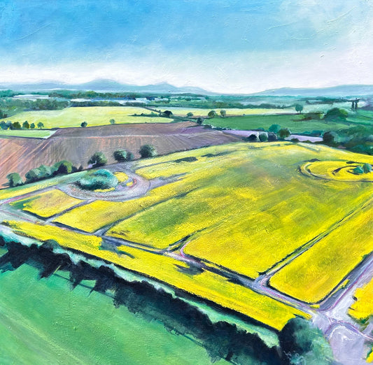 Original Painting - ‘Ballooning’