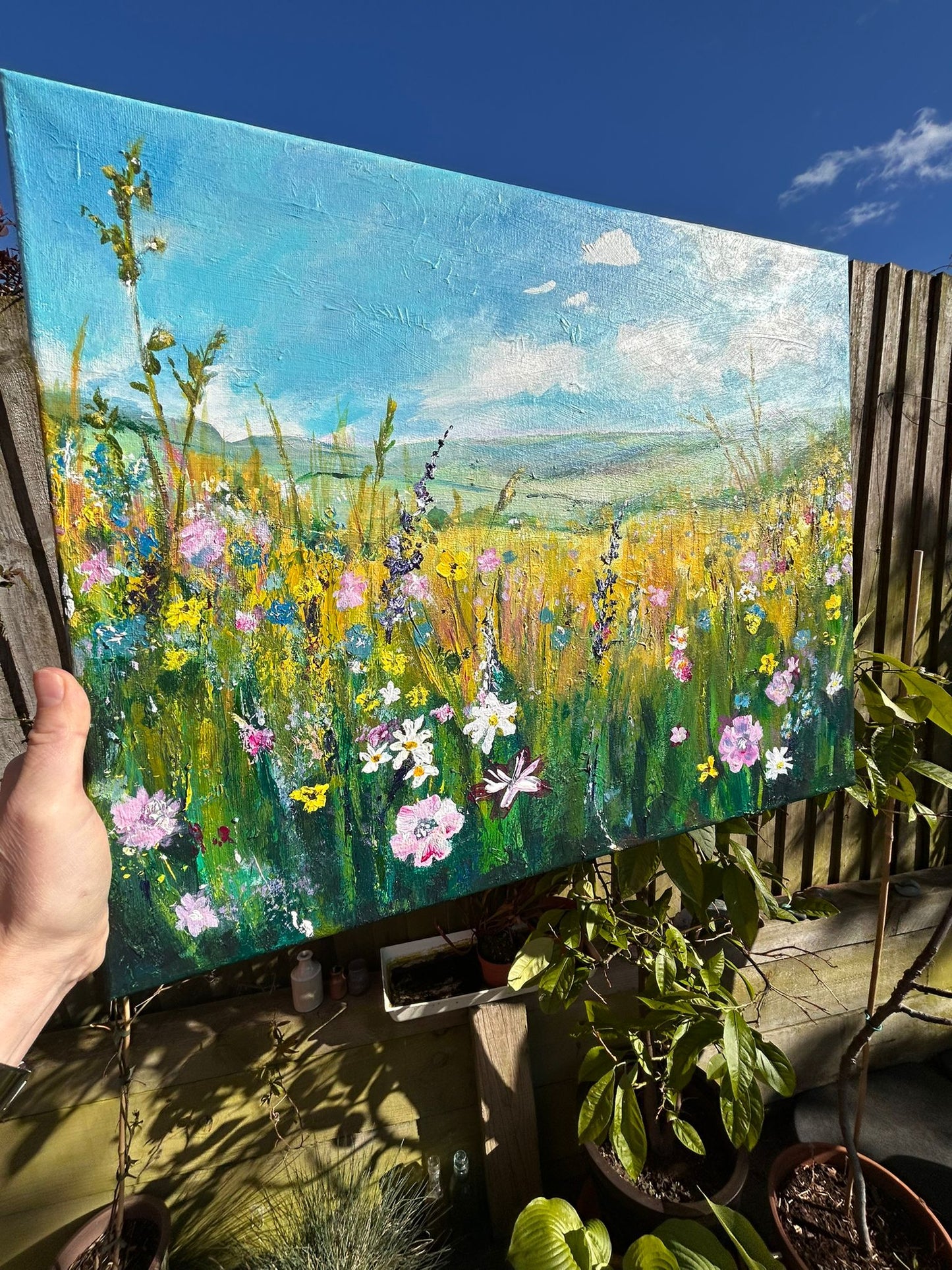 Meadow Days