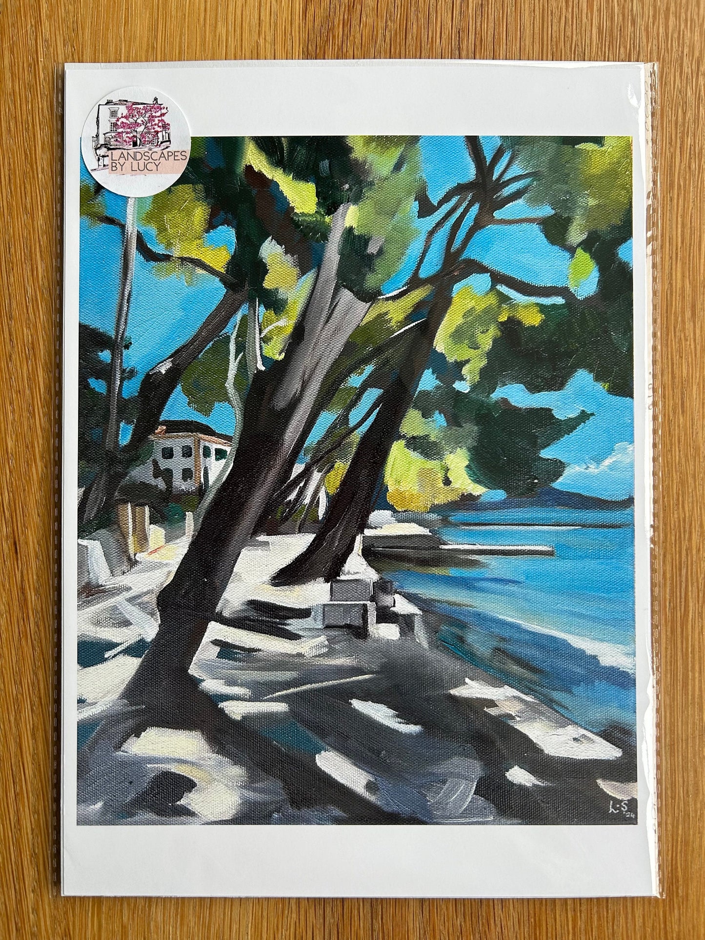 Print - Mediterranean Pine Walk, Puerto Pollensa, Mallorca